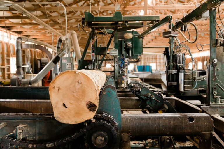 Eicher's Sawmill Timber Buyer & Logging in Indiana, Ohio & Michigan
